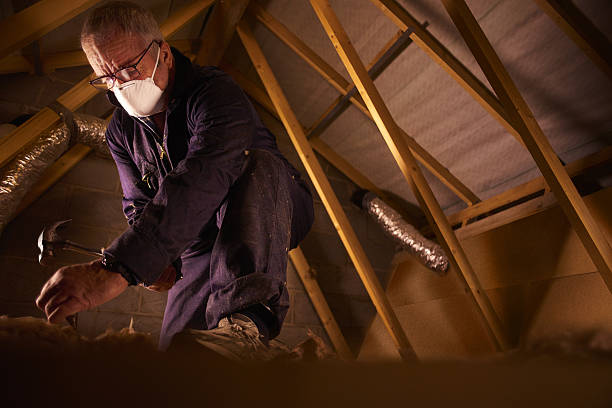 Best Eco-Friendly Insulation in Jackson, SC