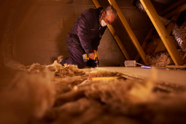 Best Cellulose Insulation in Jackson, SC